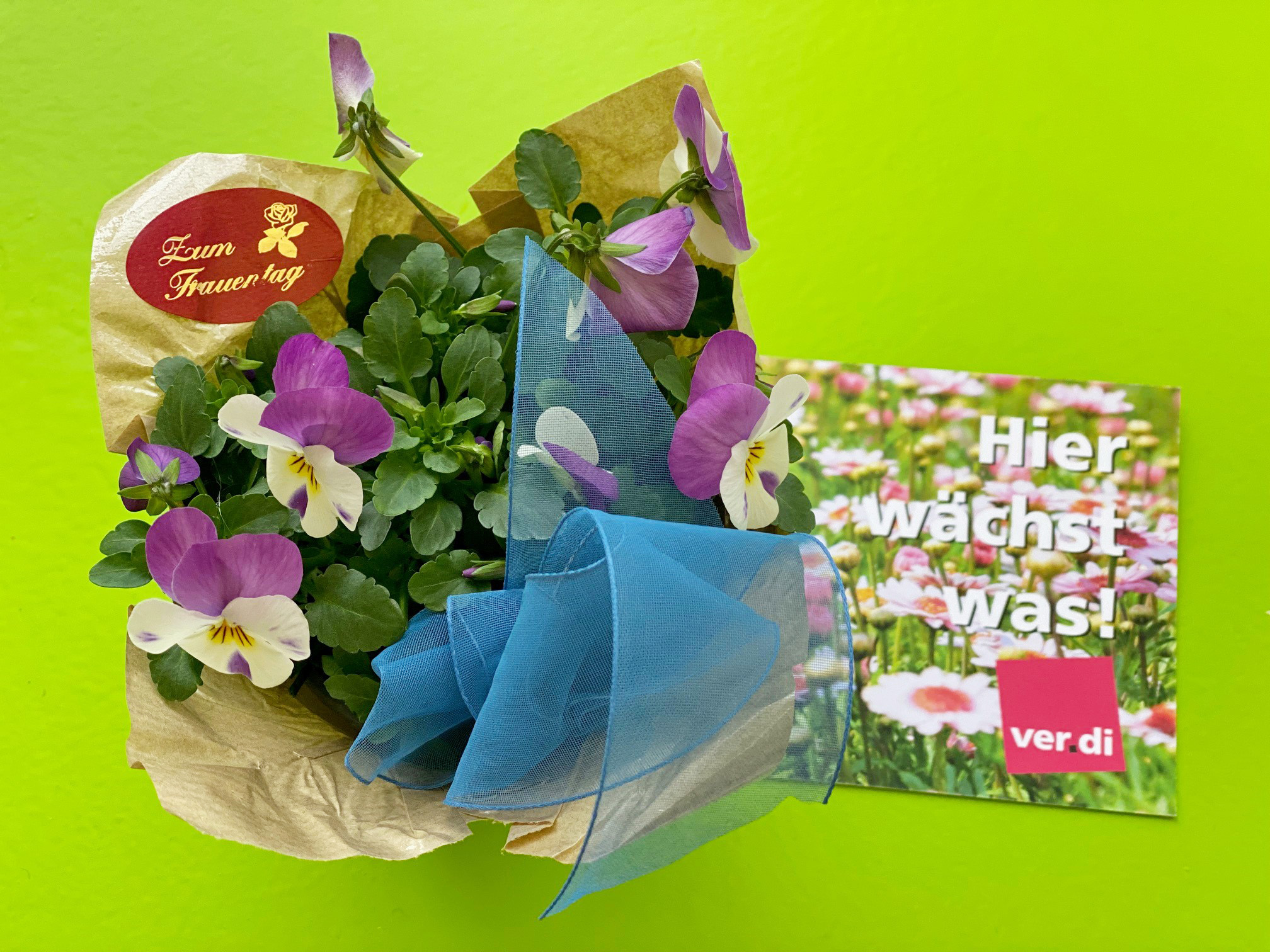 Frauentag in der MMS